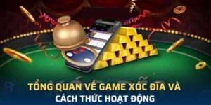 Trở Thành Vua Xóc Đĩa Cwin Với Mẹo Cược Chuẩn Xác
